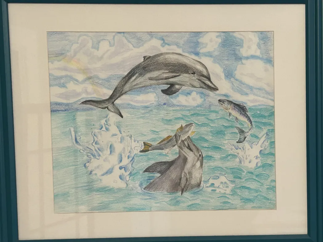 Dolphin colored pencil drawing